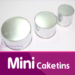 Mini Cake Tins